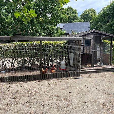 Villa Completely Renovated Back Part Of A Farm Uden Esterno foto