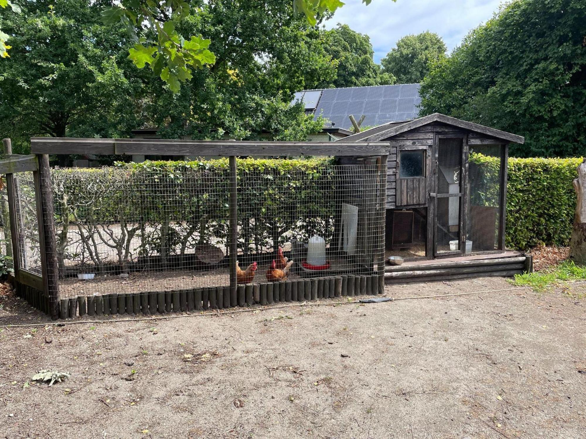 Villa Completely Renovated Back Part Of A Farm Uden Esterno foto